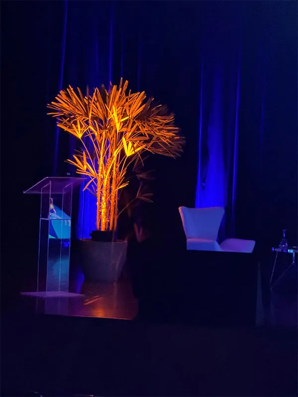 CONGRESSO NACIONAL DE GOVERNANÇA DOS CONSELHOS DE CLASSE