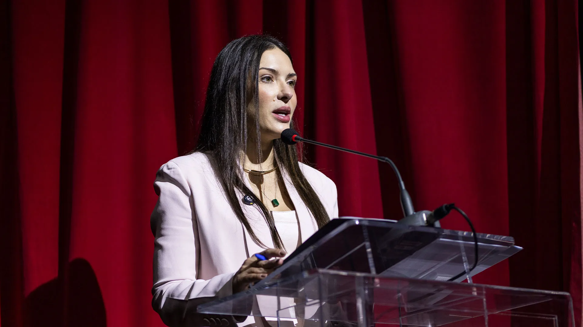Janaína Riva defende leis claras em seminário na ALMT